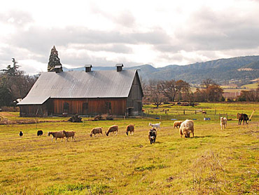 hanley farm