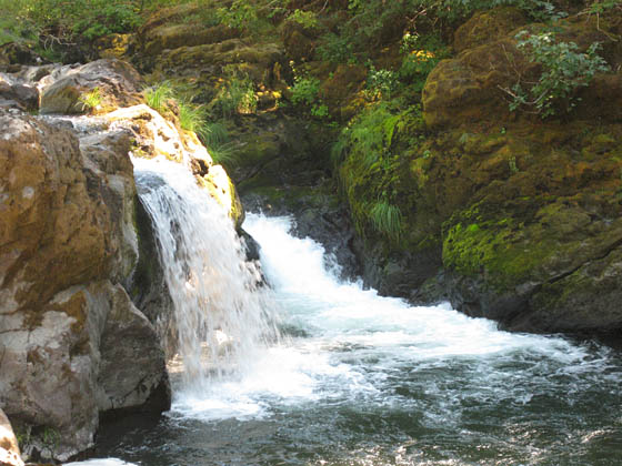 Campbell Falls